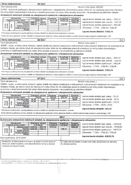 ZUS - roczna informacja dla osoby ubezpieczonej – Bild 2
